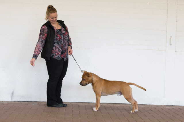 Cs3Q0220 15872082608 O