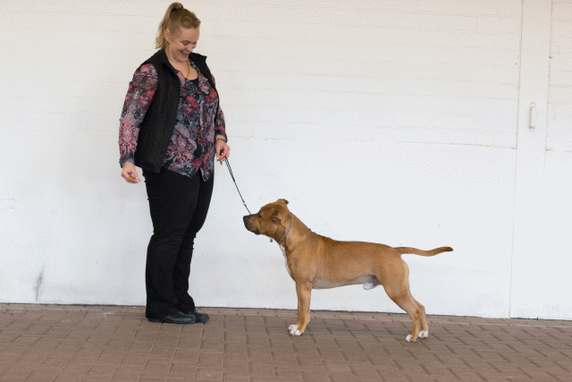 Cs3Q0221 15872252650 O