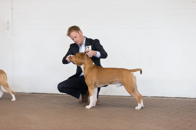 Cs3Q0231 16059542365 O