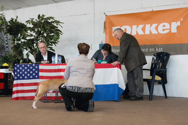 Cs3Q0234 15873763277 O