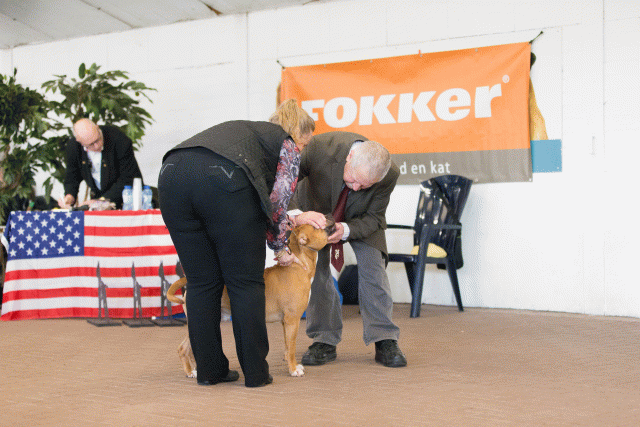 Cs3Q0246 15437235774 O