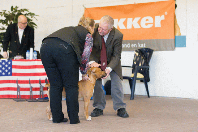 Cs3Q0248 16059538425 O