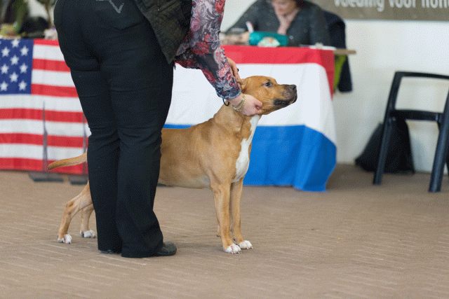 Cs3Q0254 16058825552 O