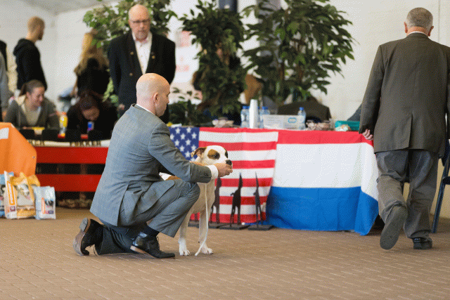 Cs3Q0256 15437231824 O