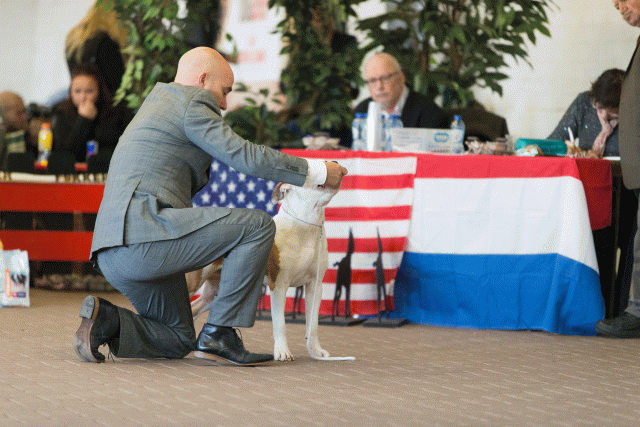 Cs3Q0260 15439865523 O