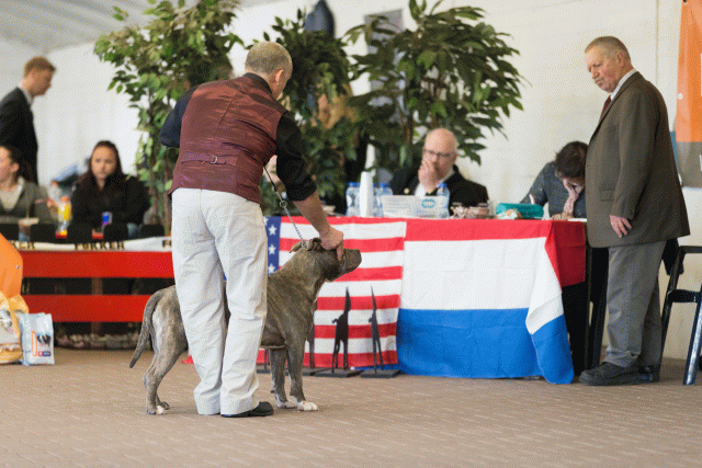 Cs3Q0263 15872241860 O