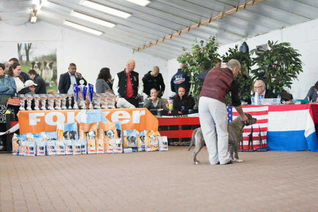 Cs3Q0265 16033742346 O