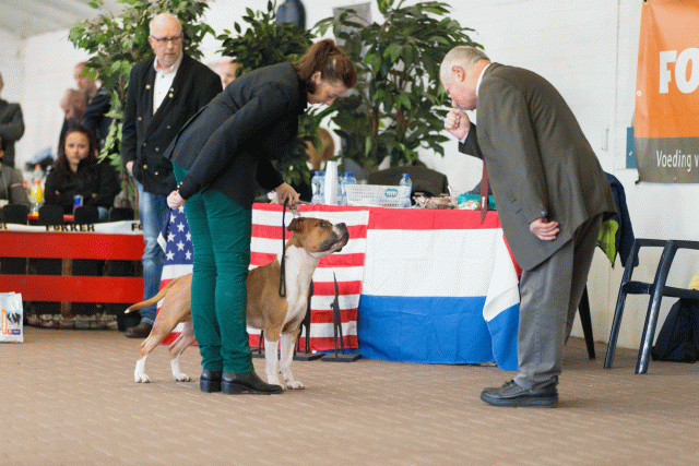 Cs3Q0279 16033740756 O