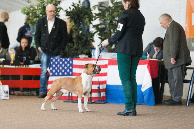 Cs3Q0283 16059527975 O