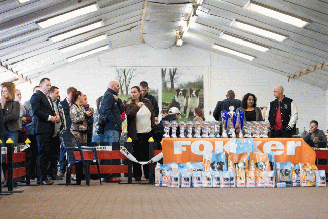 Cs3Q0292 15873446749 O