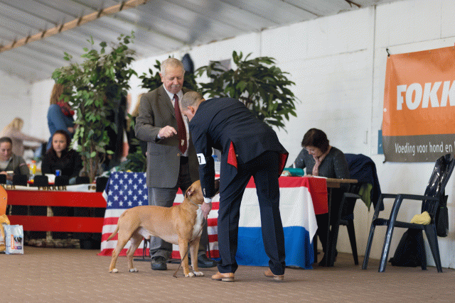 Cs3Q0293 16033736046 O