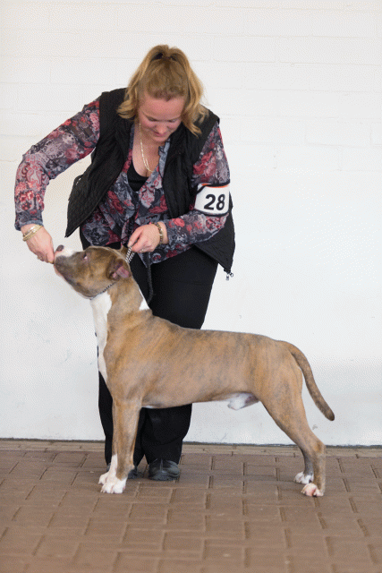 Cs3Q0299 15437221094 O