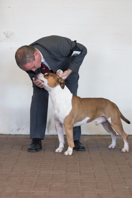 Cs3Q0304 15872060038 O