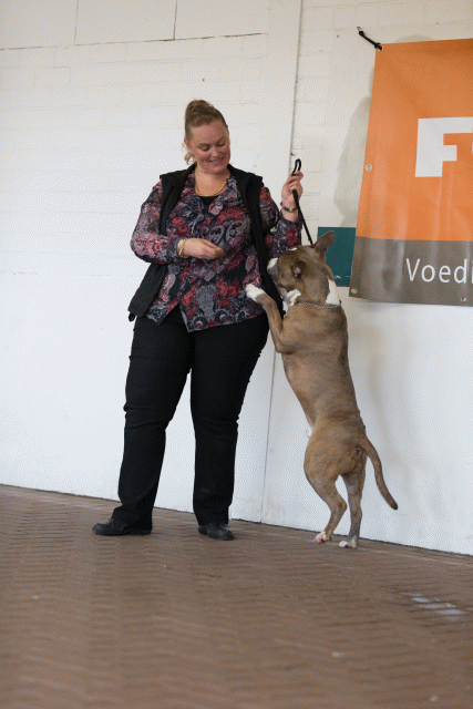 Cs3Q0318 15872056958 O