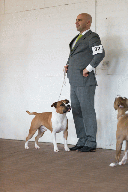 Cs3Q0319 16057552401 O