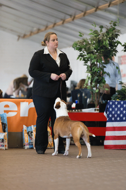 Cs3Q0322 16033726416 O