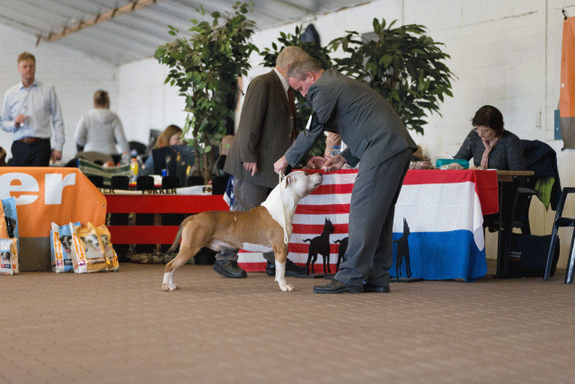 Cs3Q0336 16058801012 O