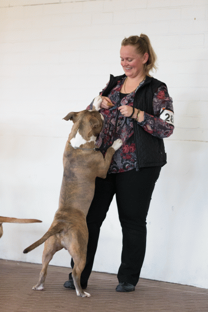 Cs3Q0346 15878501579 O