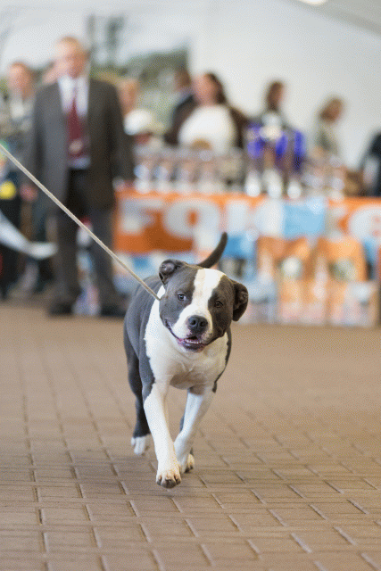 Cs3Q0352 16057542871 O