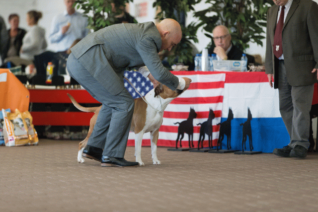 Cs3Q0368 15872210840 O