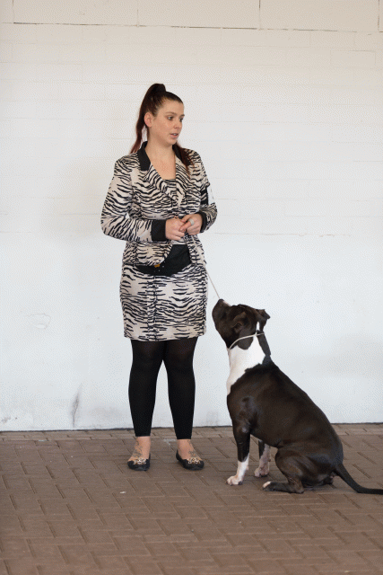 Cs3Q0385 15873416219 O