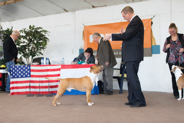 Cs3Q0394 16033705146 O