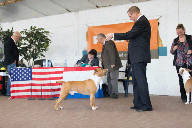 Cs3Q0395 15873414639 O