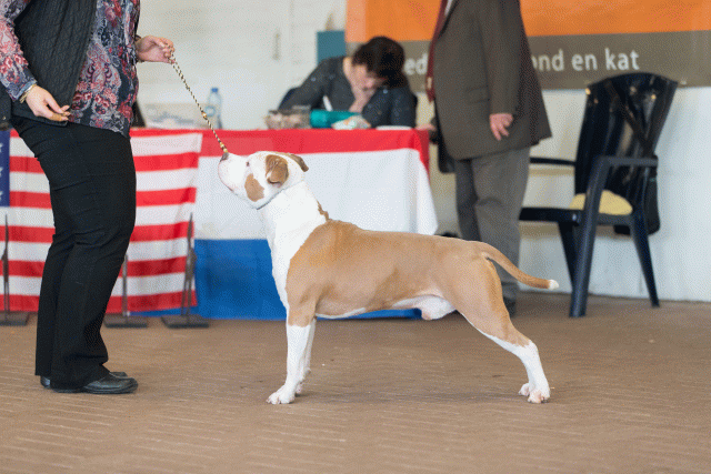 Cs3Q0397 16057527031 O