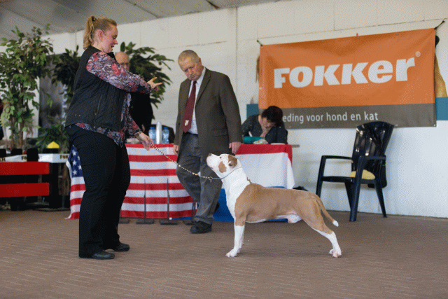 Cs3Q0400 15873711987 O