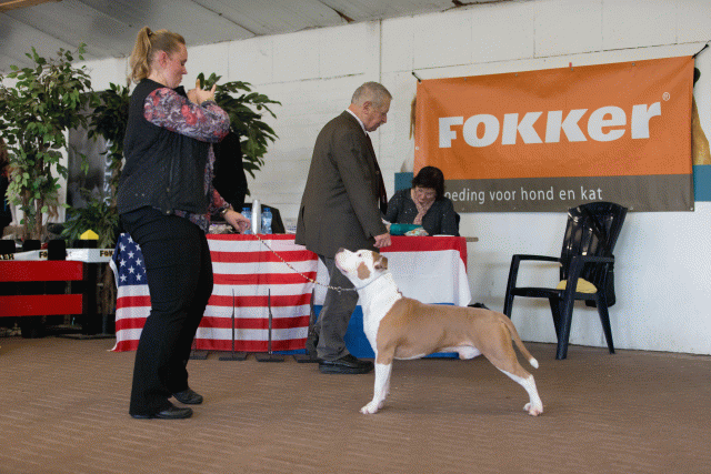 Cs3Q0401 15872028538 O