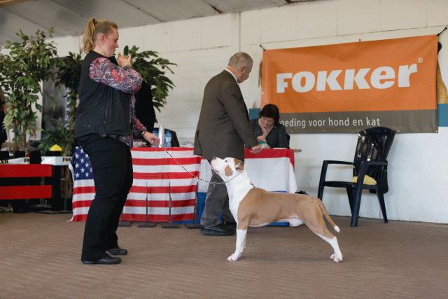 Cs3Q0402 16057523261 O