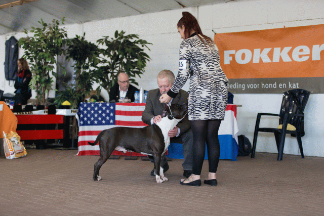 Cs3Q0409 16033698166 O