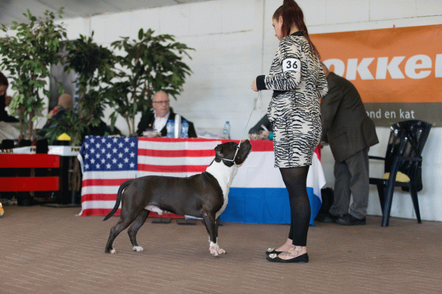 Cs3Q0410 15872025368 O