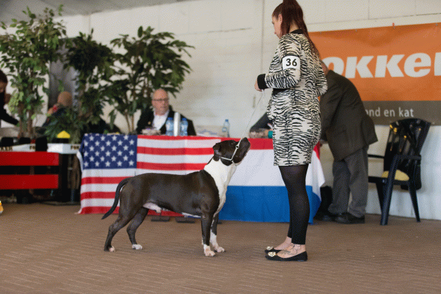 Cs3Q0411 16033696466 O