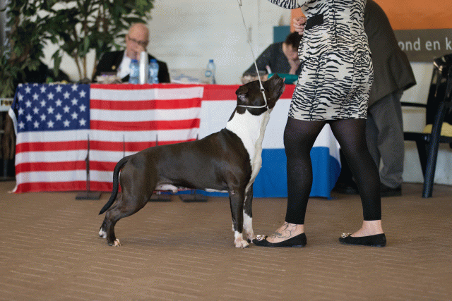 Cs3Q0412 15437182154 O