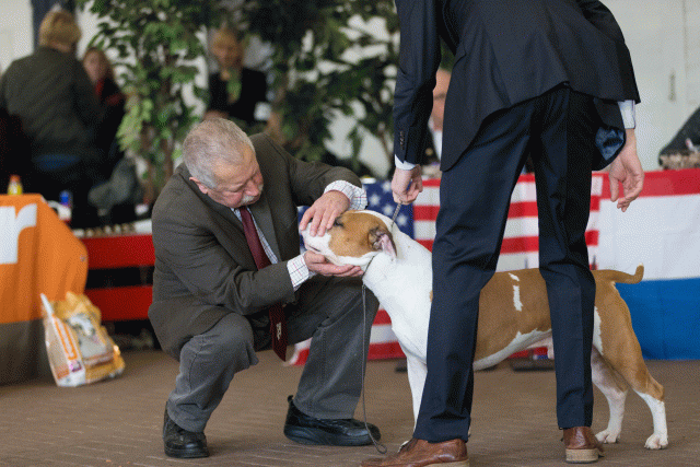 Cs3Q0421 15872191090 O