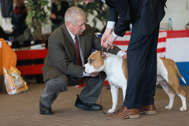 Cs3Q0423 16059480565 O