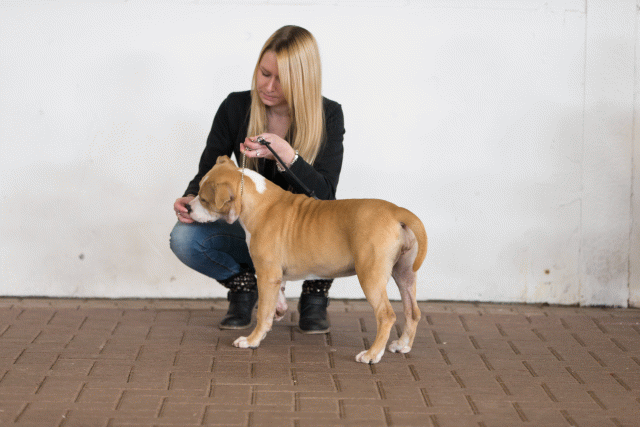 Cs3Q0431 16058767932 O