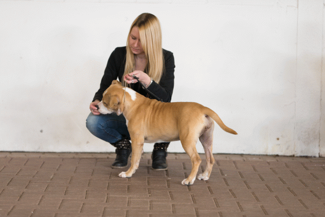 Cs3Q0432 16058767072 O