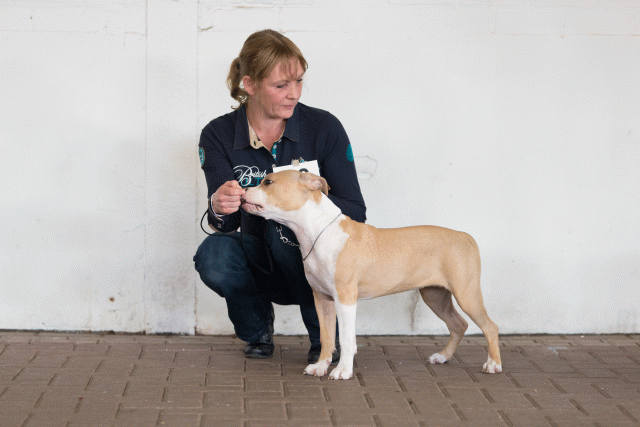 Cs3Q0434 16057512141 O