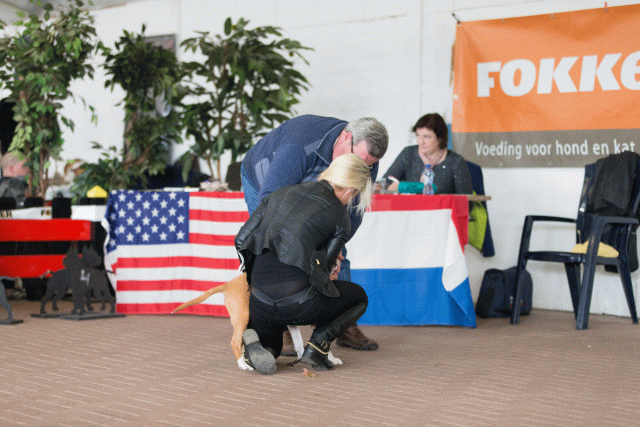 Cs3Q0439 15873312609 O