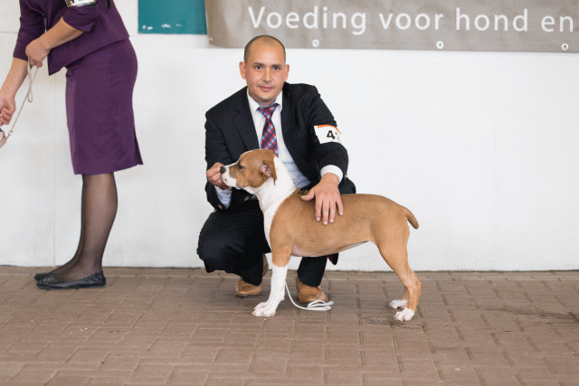 Cs3Q0440 16058764402 O