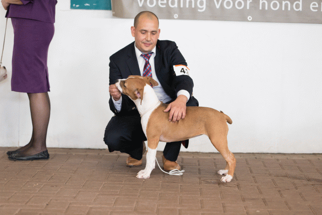 Cs3Q0441 15873394839 O