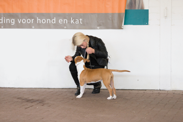 Cs3Q0443 15873393569 O