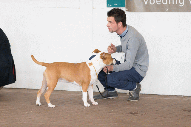 Cs3Q0445 15873392169 O