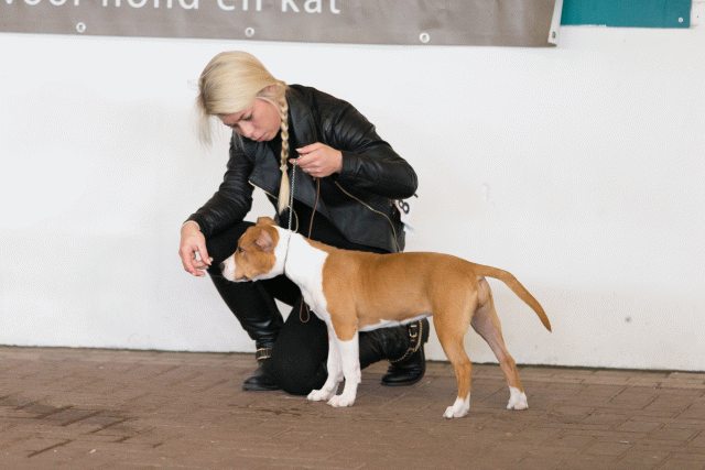 Cs3Q0446 15872011368 O