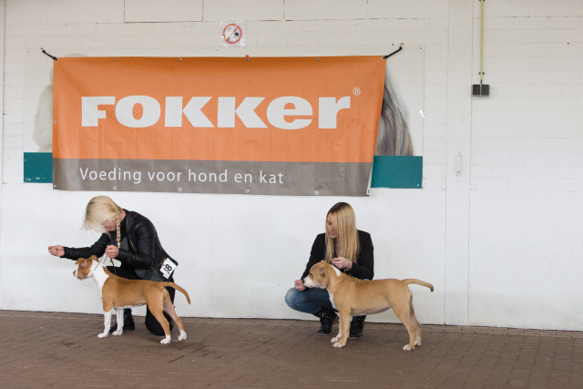 Cs3Q0450 16059469325 O