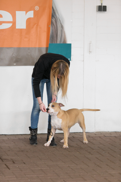 Cs3Q0451 16059468625 O