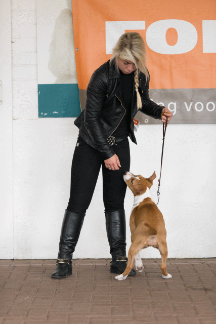 Cs3Q0452 15872176170 O