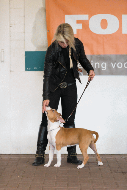 Cs3Q0453 16033678506 O